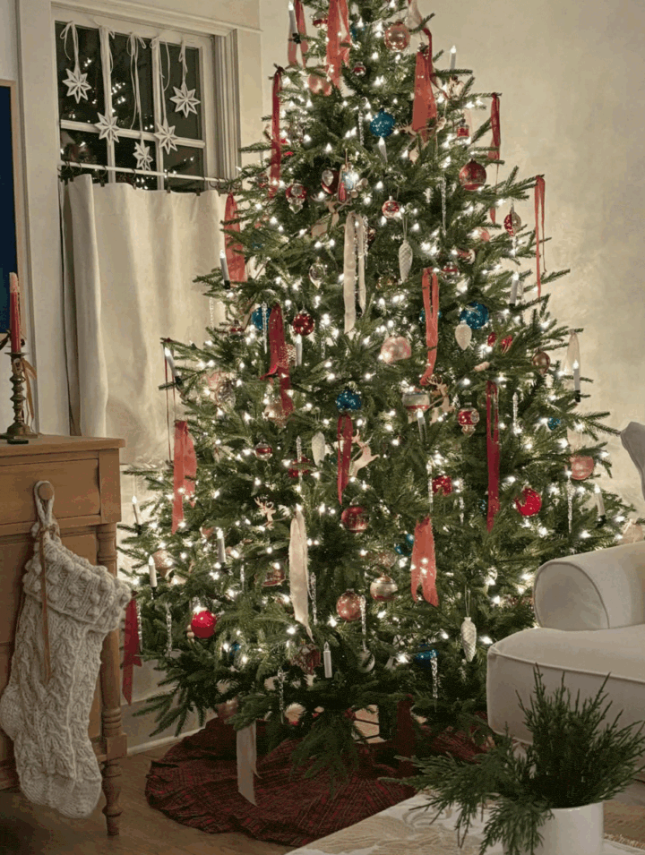 Christmas-tree-lit-up-at-night