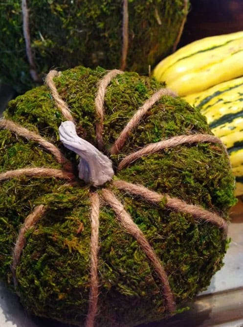 diy moss covered pumpkin