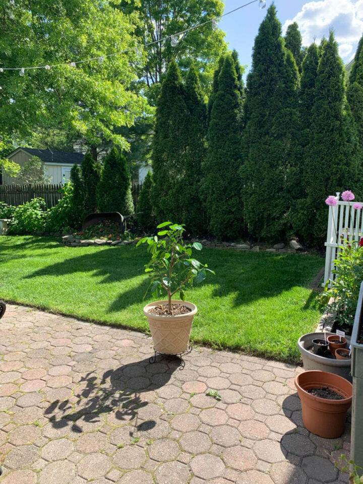 easy-garden-ideas-you-can-do-in-a-weekend