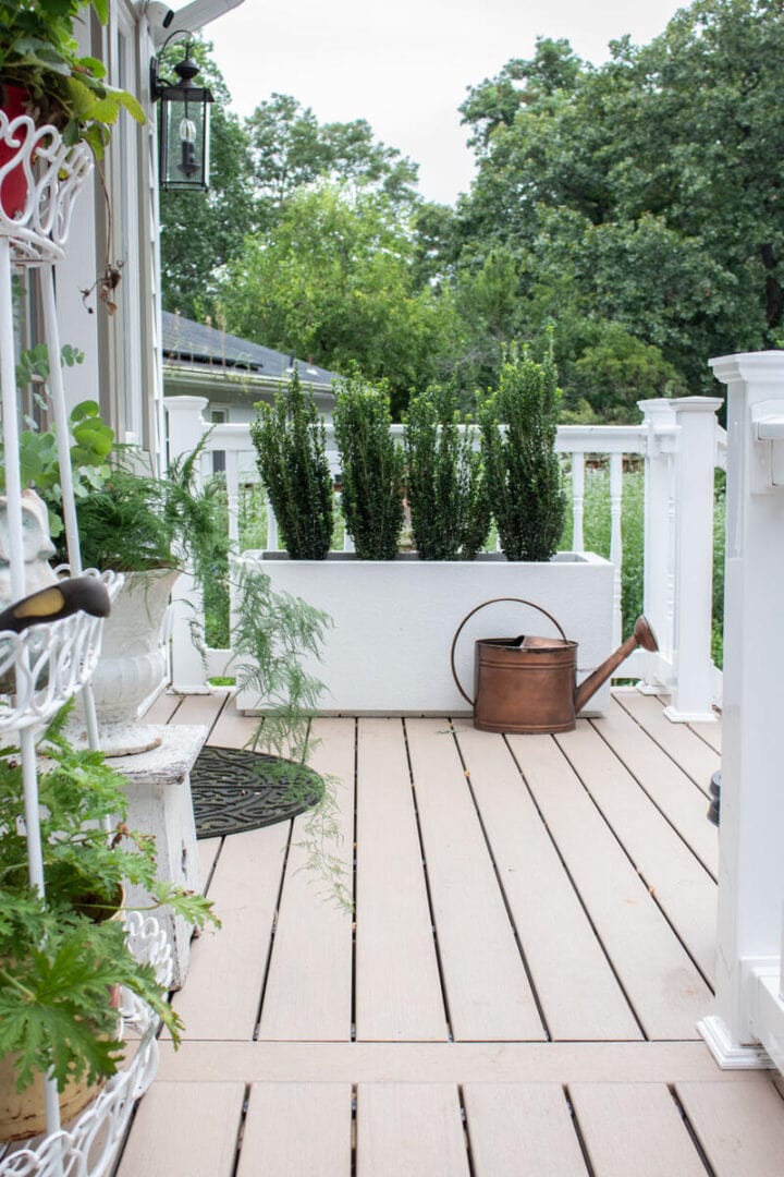 evergreen-trees-for-privacy-that-stay-narrow
