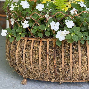 How To Line A Cast Iron Planter With Moss