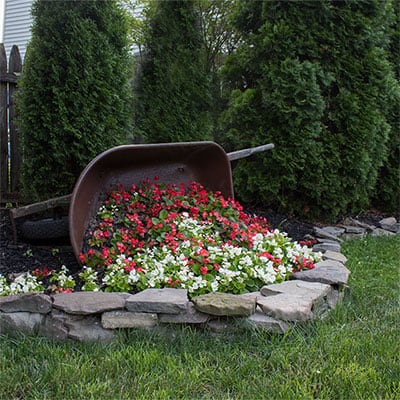 how-to-prep-a-wheelbarrow-to-use-as-a-planter-fi How to prep a wheelbarrow to use as a planter FI