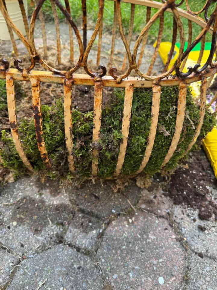 how-to-use-moss-in-planters-720x961-1 how-to-use-moss-in-planters