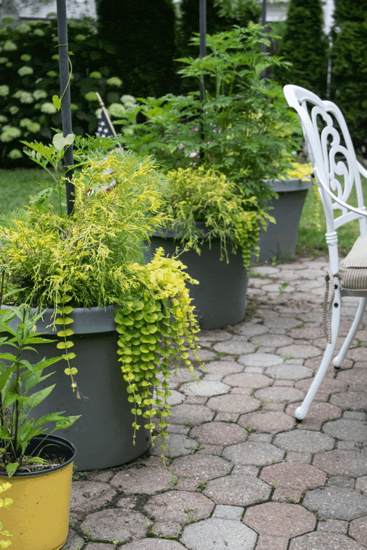 small garden ideas with container planters