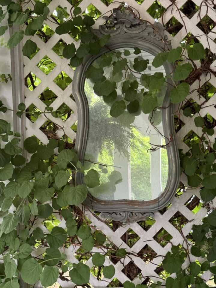 outdoor mirror