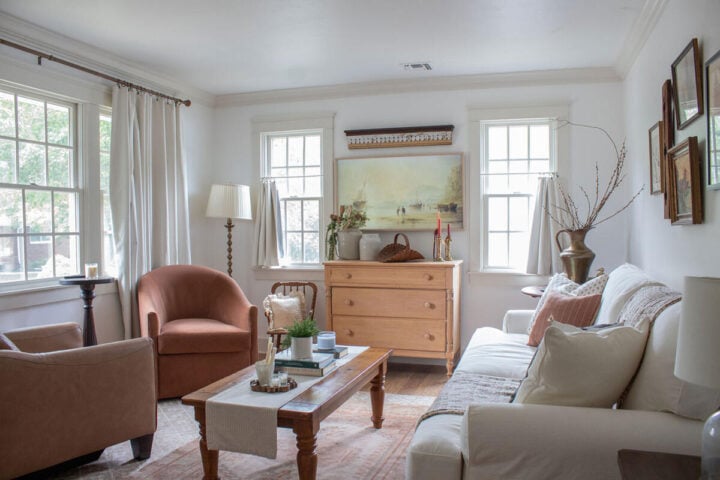 small-narrow-living-room-ideas-720x480-1 small-narrow-living-room-ideas