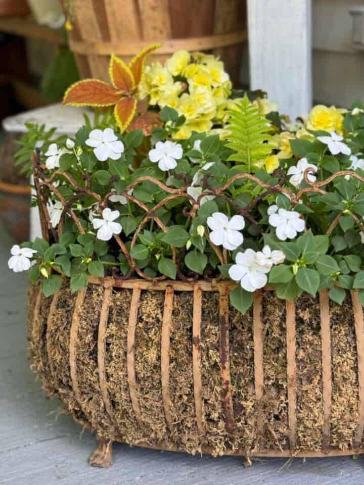 vintage-iron-planter-ideas-720x960-1 vintage-iron-planter-ideas