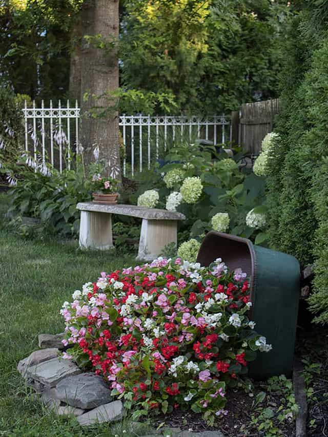 wheelbarrow-planter gardening ideas for small backyards