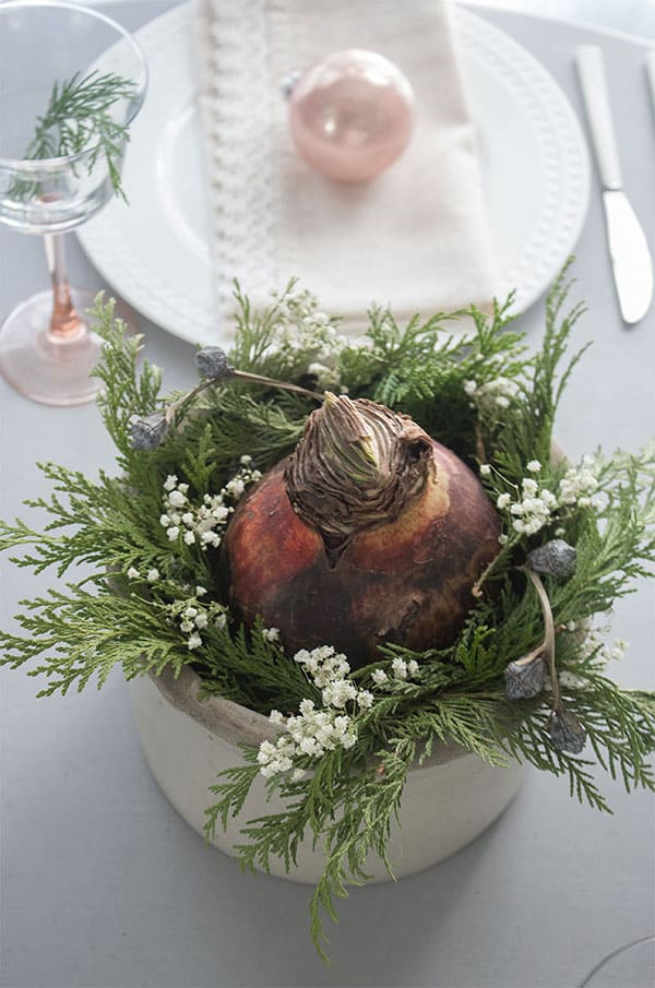 Christmas-centerpiece-amarylis