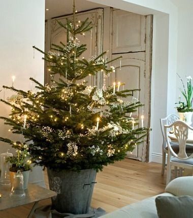 mid sized Christmas tree ideas