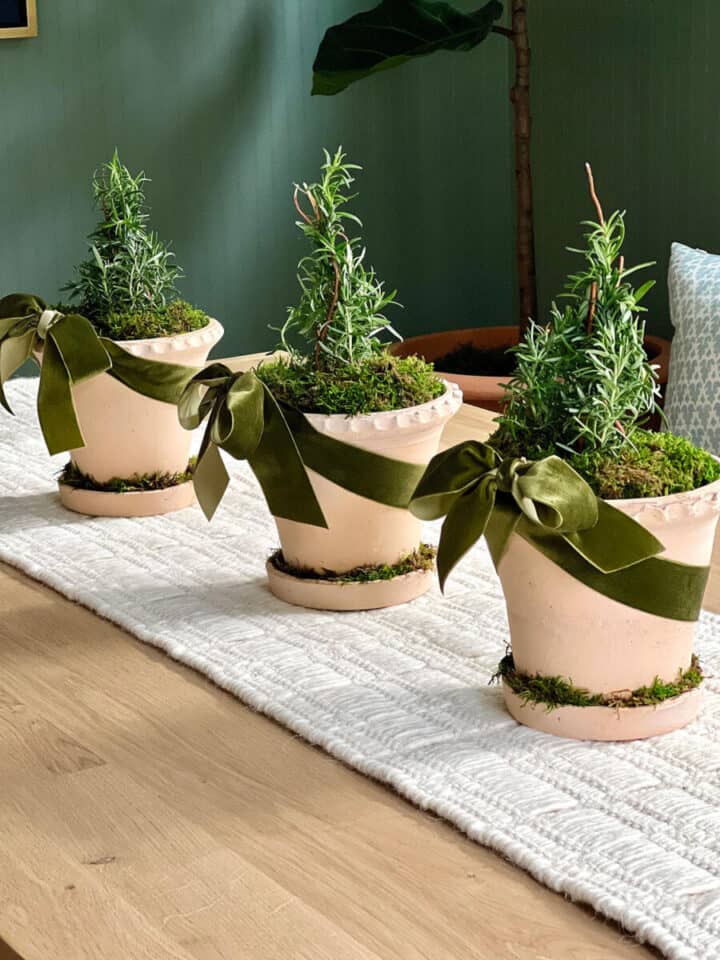 Christmas centerpiece with Rosemary trees