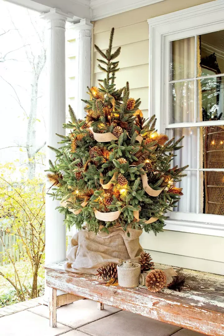 small outdoor Christmas tree