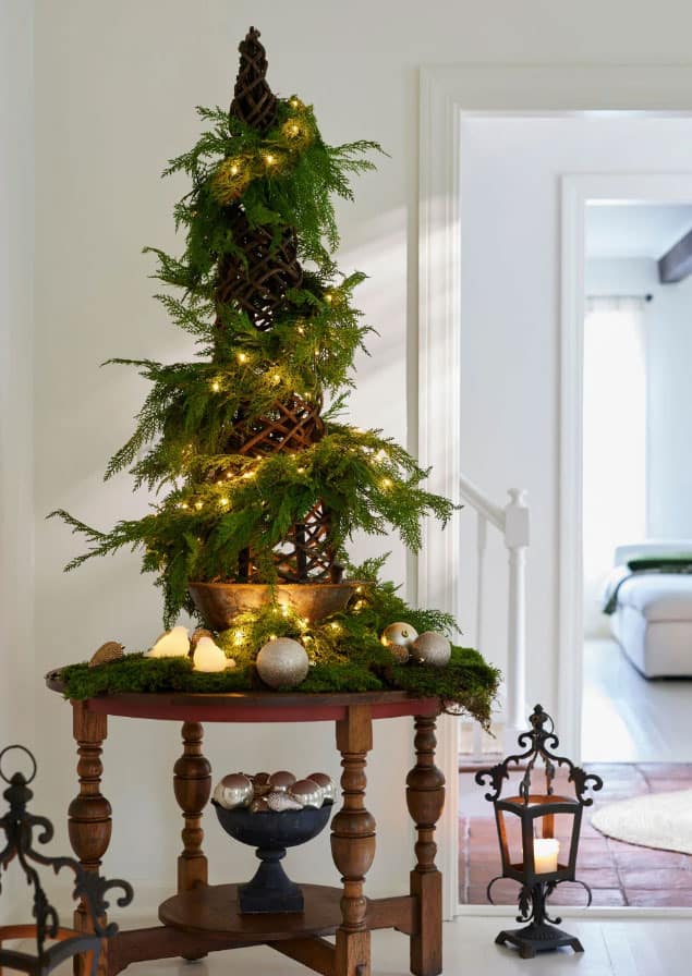 terrain-Christmas-tree alternative tree ideas